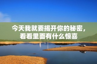 今天我就要揭开你的秘密，看看里面有什么惊喜