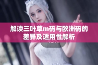 解读三叶草m码与欧洲码的差异及适用性解析
