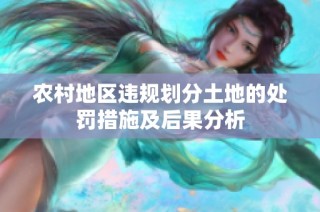 农村地区违规划分土地的处罚措施及后果分析