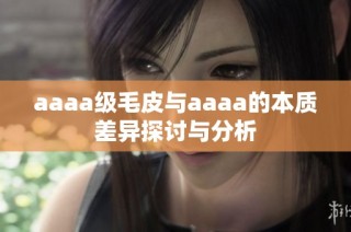 aaaa级毛皮与aaaa的本质差异探讨与分析