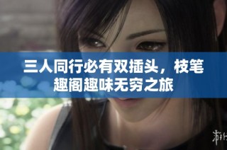 三人同行必有双插头，枝笔趣阁趣味无穷之旅