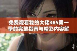 免费观看我的大佬365第一季的完整指南与精彩内容解读