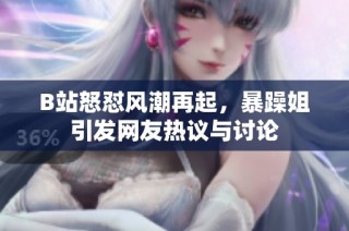 B站怒怼风潮再起，暴躁姐引发网友热议与讨论