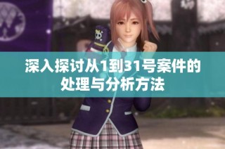 深入探讨从1到31号案件的处理与分析方法