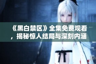 《黑白禁区》全集免费观看，揭秘惊人结局与深刻内涵
