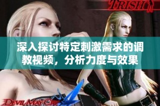 深入探讨特定刺激需求的调教视频，分析力度与效果