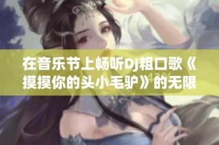 在音乐节上畅听DJ粗口歌《摸摸你的头小毛驴》的无限欢愉