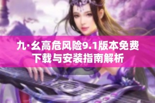 九·幺高危风险9.1版本免费下载与安装指南解析