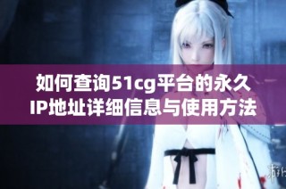 如何查询51cg平台的永久IP地址详细信息与使用方法