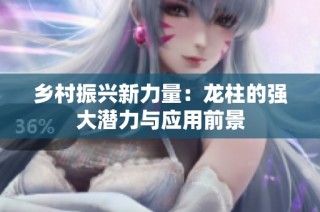 乡村振兴新力量：龙柱的强大潜力与应用前景