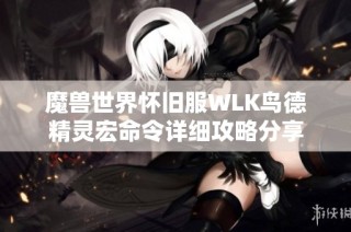 魔兽世界怀旧服WLK鸟德精灵宏命令详细攻略分享