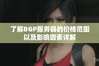 了解BGP服务器的价格范围以及影响因素详解
