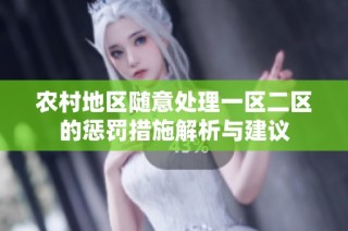 农村地区随意处理一区二区的惩罚措施解析与建议