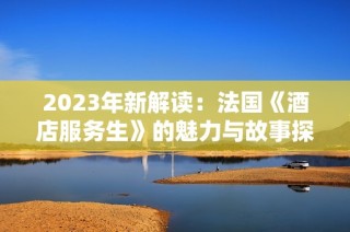 2023年新解读：法国《酒店服务生》的魅力与故事探索