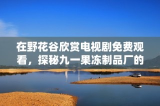 在野花谷欣赏电视剧免费观看，探秘九一果冻制品厂的美味之旅