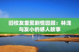 旧校友重聚剧情回顾：林浅与发小的感人故事