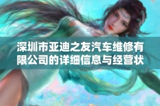 深圳市亚迪之友汽车维修有限公司的详细信息与经营状况分析