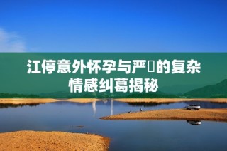 江停意外怀孕与严峫的复杂情感纠葛揭秘