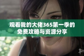 观看我的大佬365第一季的免费攻略与资源分享