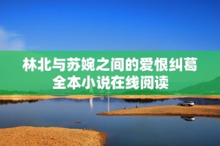 林北与苏婉之间的爱恨纠葛全本小说在线阅读