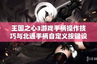 王国之心3游戏手柄操作技巧与北通手柄自定义按键设置攻略