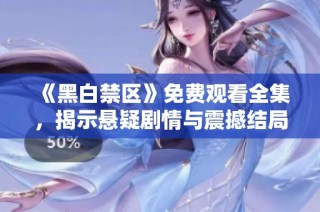 《黑白禁区》免费观看全集，揭示悬疑剧情与震撼结局详解