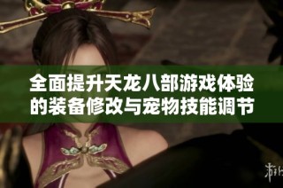 全面提升天龙八部游戏体验的装备修改与宠物技能调节工具