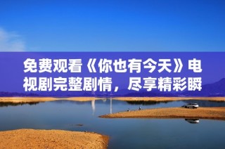免费观看《你也有今天》电视剧完整剧情，尽享精彩瞬间