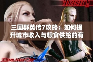 三国群英传7攻略：如何提升城市收入与粮食供给的有效策略分享
