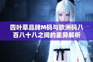四叶草品牌M码与欧洲码八百八十八之间的差异解析