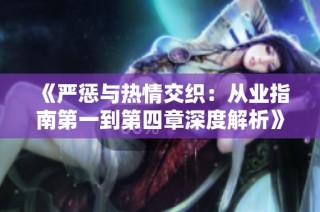 《严惩与热情交织：从业指南第一到第四章深度解析》