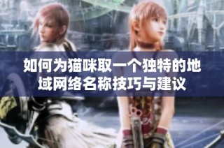 如何为猫咪取一个独特的地域网络名称技巧与建议