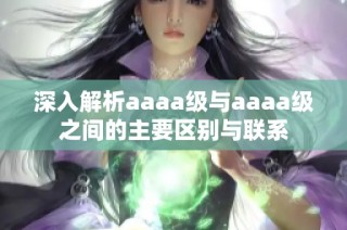 深入解析aaaa级与aaaa级之间的主要区别与联系