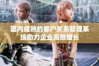 国内成熟的客户关系管理系统助力企业高效增长