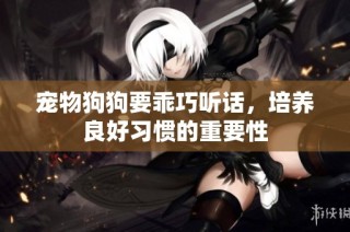 宠物狗狗要乖巧听话，培养良好习惯的重要性