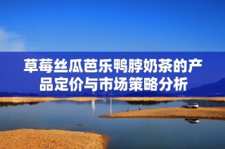 草莓丝瓜芭乐鸭脖奶茶的产品定价与市场策略分析