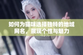 如何为猫咪选择独特的地域网名，展现个性与魅力