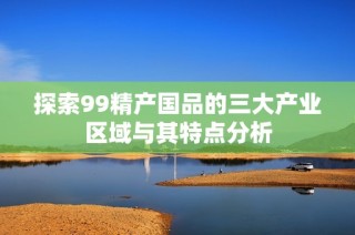 探索99精产国品的三大产业区域与其特点分析