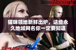 猫咪领地新鲜出炉，这些永久地域网名你一定要知道