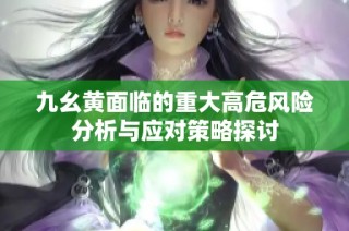 九幺黄面临的重大高危风险分析与应对策略探讨
