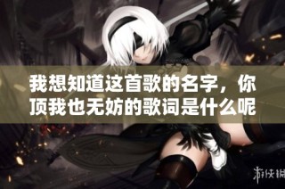 我想知道这首歌的名字，你顶我也无妨的歌词是什么呢