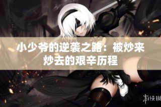 小少爷的逆袭之路：被炒来炒去的艰辛历程