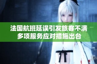 法国航班延误引发旅客不满 多项服务应对措施出台