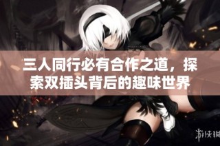 三人同行必有合作之道，探索双插头背后的趣味世界