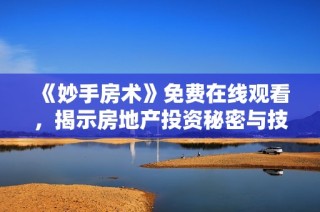 《妙手房术》免费在线观看，揭示房地产投资秘密与技巧