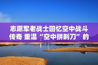 志愿军老战士回忆空中战斗传奇 重温“空中拼刺刀”的英雄岁月