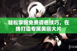 轻松掌握免费调色技巧，在线打造专属美丽大片