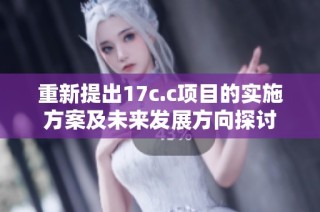 重新提出17c.c项目的实施方案及未来发展方向探讨