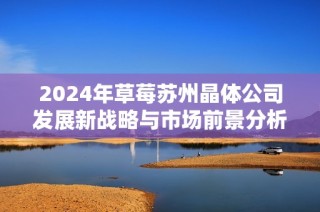 2024年草莓苏州晶体公司发展新战略与市场前景分析