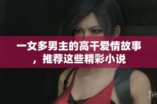 一女多男主的高干爱情故事，推荐这些精彩小说